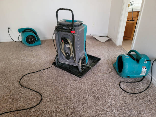 Best Flooded house restoration  in New Hope, AL