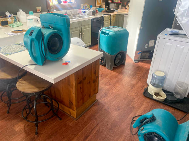 Best Commercial water damage restoration  in New Hope, AL