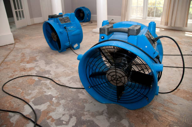 Best Carpet water damage restoration  in New Hope, AL