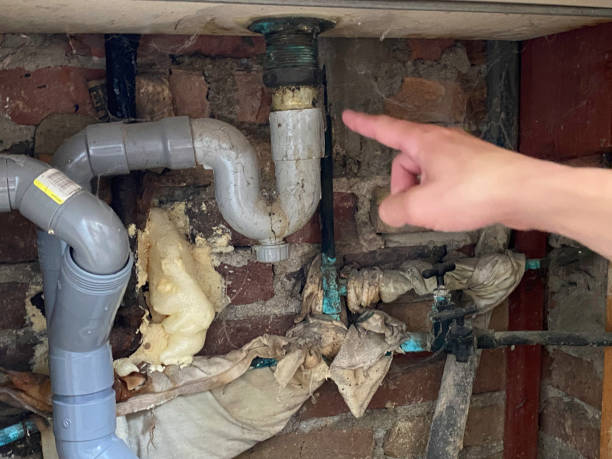 Best Basement water damage restoration  in New Hope, AL