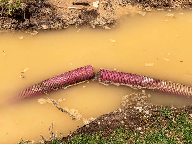 Best Mold removal after water damage  in New Hope, AL